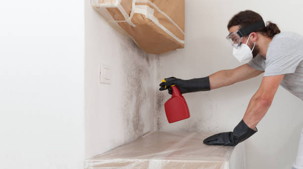 Professional Mold Remediation technician working in Bradley Beach, NJ