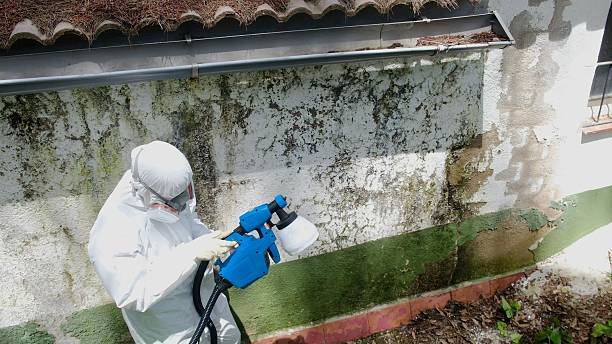 Top rated local Mold Remediation specialists in Bradley Beach, NJ